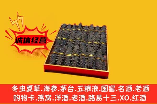 大兴安岭呼中回收海参